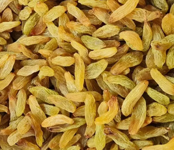 long-yellow-raisins-1712740734-5990615.webp